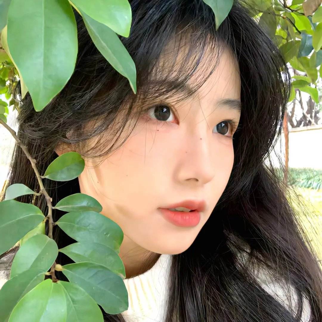 战地花开